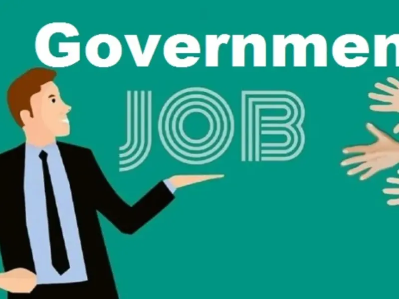 goverrnment job