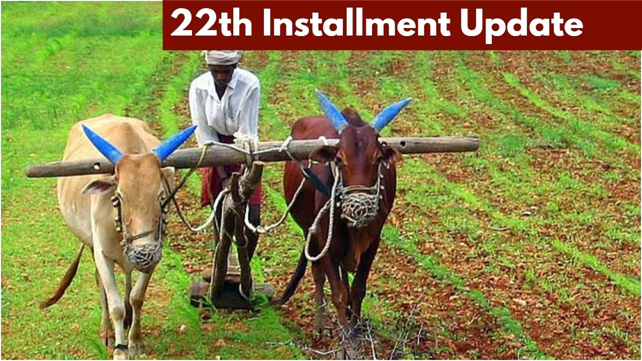 PM Kisan Yojana: 10 करोड़ किसानों को इस तारीख तक मिलेगी 2,000 रुपये की किस्त! करें चेक 9 PM Kisan Yojana: 10 करोड़ किसानों को इस तारीख तक मिलेगी 2,000 रुपये की किस्त! करें चेक