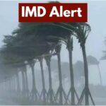 imd alert
