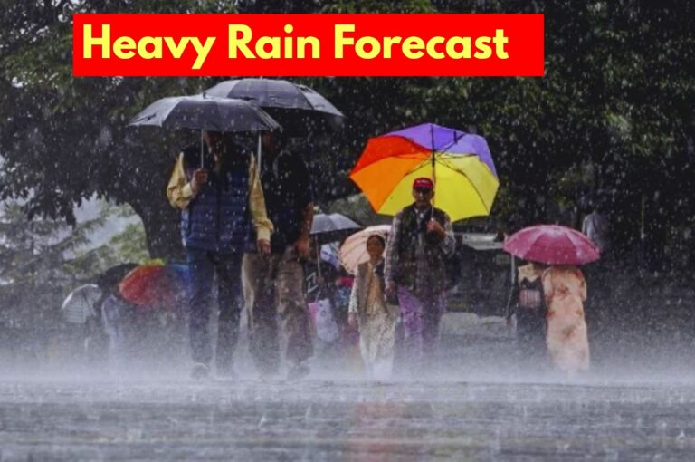 Heavy Rain Alert